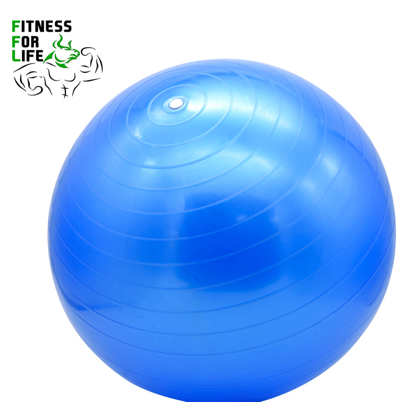 Load image into Gallery viewer, 65 cm Yoga Ball
