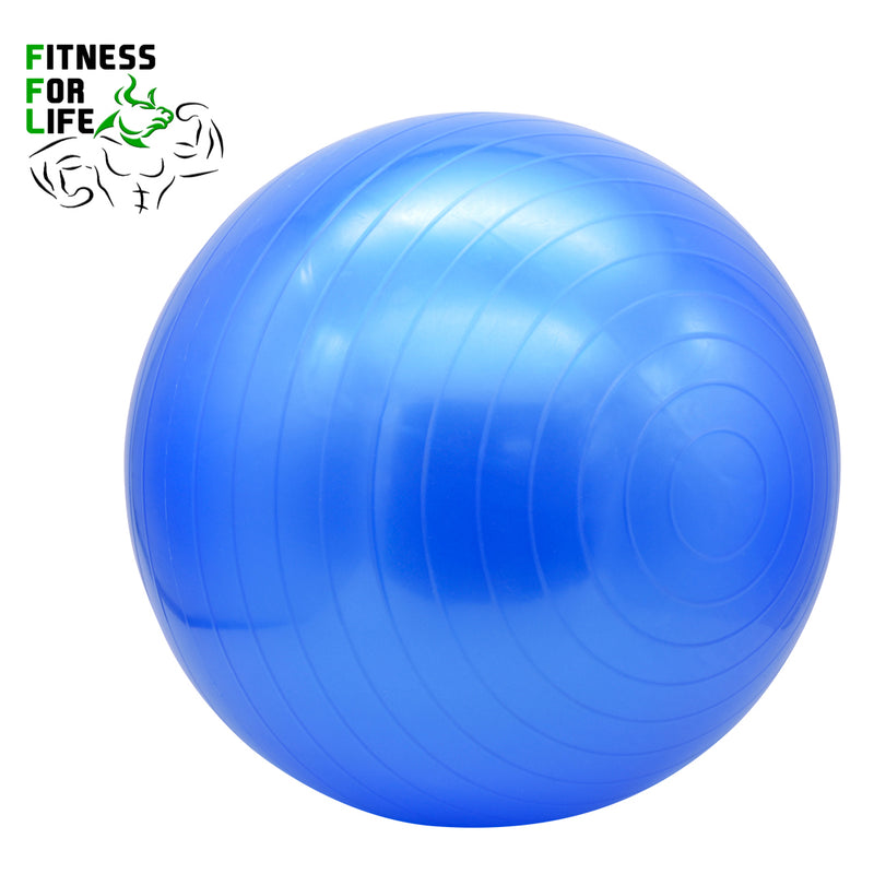 Load image into Gallery viewer, 65 cm Yoga Ball
